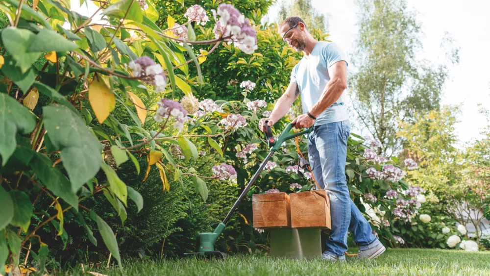 Bosch EasyGrassCut 26 280W 240V Grass Trimmer 5 Bosch EasyGrassCut 26 280W 240V Grass Trimmer - Image 3