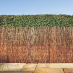 Apollo® Apollo Fern Roll-Up Screen 4 X 2m