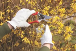 Outdoor Garden Shop -Outdoor Garden Shop 282KG A1