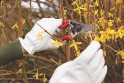 Spear & Jackson Bypass Razorsharp Left-Handed Secateurs 8 1/2" (213mm) -Outdoor Garden Shop 282KG A2