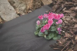 Apollo® Apollo Weed Control Fabric Roll 14 X 1m -Outdoor Garden Shop 33004 A3