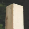 Forest Fence Posts 75 X 75mm X 2.4m 6 Pack -Outdoor Garden Shop 34023 P