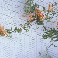 Apollo® Apollo 13mm PVC-Coated Wire Netting 0.5 X 10m -Outdoor Garden Shop 46896 A2