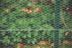Apollo® Apollo 13mm Galvanised Wire Netting 0.6 X 10m -Outdoor Garden Shop 50017 A3
