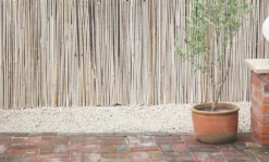 Apollo® Apollo Bamboo Garden Screen 4 X 2m