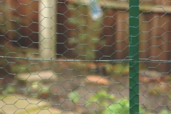 Apollo® Apollo 50mm PVC-Coated Wire Netting 1 X 10m -Outdoor Garden Shop 55784 A2