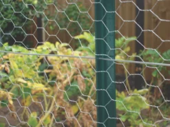 Apollo® Apollo 2.5mm Galvanised Garden Wire 25m -Outdoor Garden Shop 57999 A2