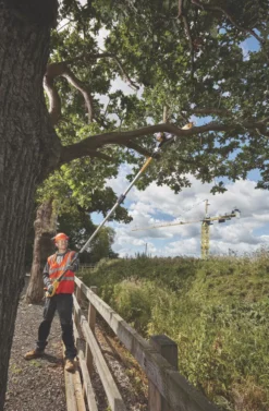 DeWalt DCMPS567P1 18V 1 X 5.0Ah Li-Ion XR Brushless Cordless 20cm Pole Saw -Outdoor Garden Shop 586JT A6