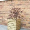 Forest Square Linear Planter Natural Wood 400 X 400 X 440mm -Outdoor Garden Shop 6206X P