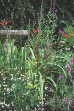 Apollo® Apollo 50 X 100mm Heavy Duty PVC-Coated Wire Netting 1.2 X 10m -Outdoor Garden Shop 65371 A2