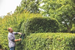 Bosch AdvancedHedgeCut 65 65cm 500W 240V Corded Brushless Hedge Trimmer -Outdoor Garden Shop 688KV A4