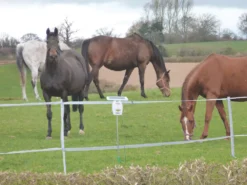 Stockshop SX250 Solar-Powered Electric Fence Energiser Battery-Powered 7 Stockshop SX250 Solar-Powered Electric Fence Energiser Battery-Powered -Outdoor Garden Shop 7617F A2