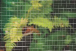 Apollo® Apollo 13 X 25mm Galvanised Welded Mesh 0.9 X 6m -Outdoor Garden Shop 76864 A3