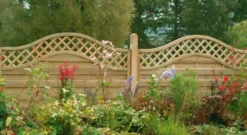 Forest Prague Lattice Curved Top Fence Panels Natural Timber 6 X 4&apos; Pack Of 6 -Outdoor Garden Shop 82389 A1