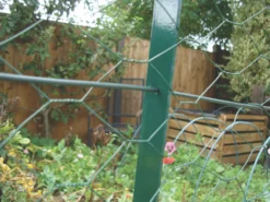 Apollo® Apollo 2mm PVC-Coated Garden Wire 30m -Outdoor Garden Shop 89287 A2