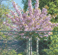 Apollo® Apollo 25mm Galvanised Wire Netting 0.6 X 50m -Outdoor Garden Shop 90522 A2