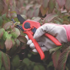 Spear & Jackson Anvil Razorsharp Active Secateurs 8 1/4" (210mm) -Outdoor Garden Shop 989KG A2